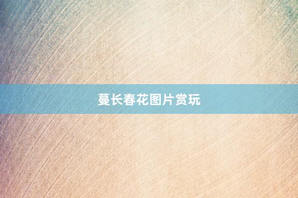 蔓长春花图片赏玩