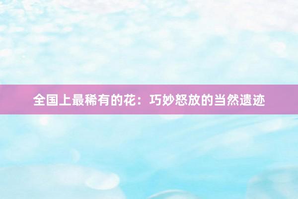 全国上最稀有的花：巧妙怒放的当然遗迹