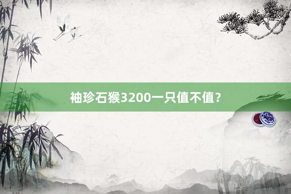 袖珍石猴3200一只值不值？