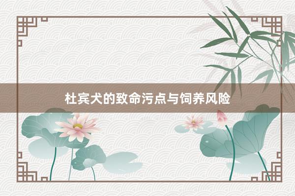 杜宾犬的致命污点与饲养风险